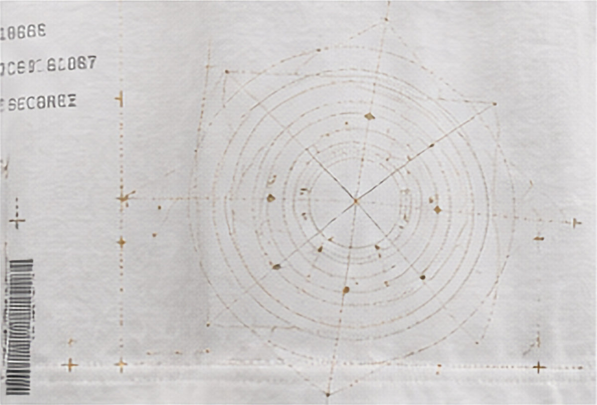 Celestial Ronin Oversized Tee